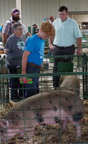 Madison County 4-H 2.JPG