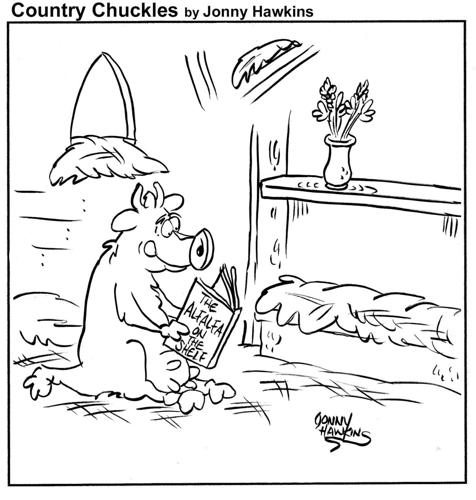 Country Chuckles by Jonny Hawkins