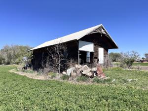 Spring Ranch 7.JPG