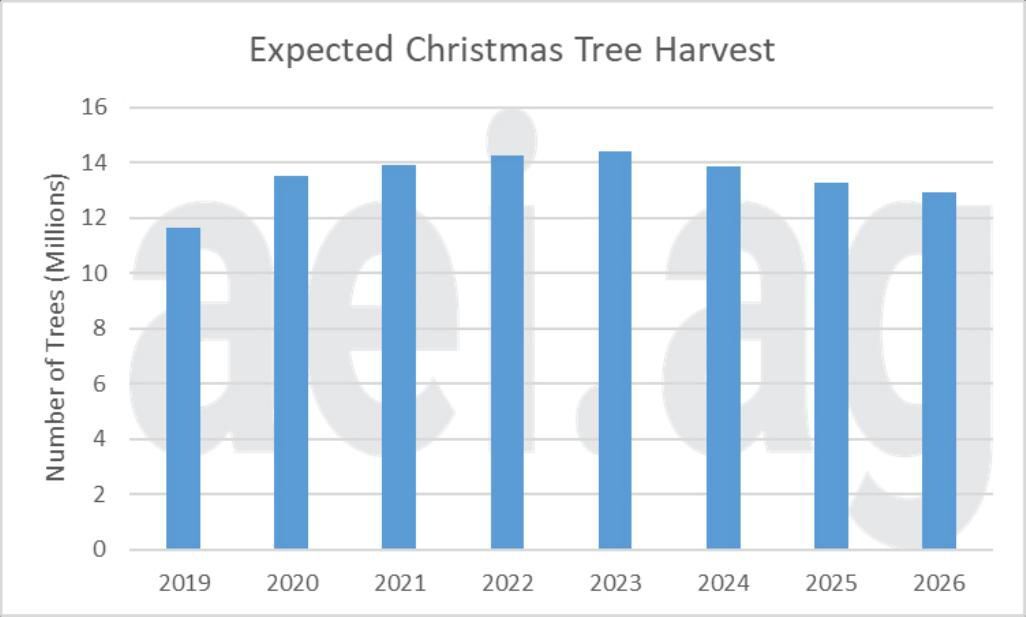 Celebrate Christmas with treefarm harvests