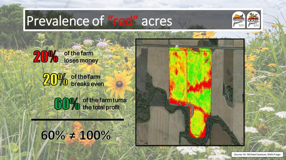 Prevalence of red acres in farm field