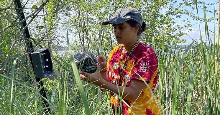 Pollinators Vip Student has passion for pollinators