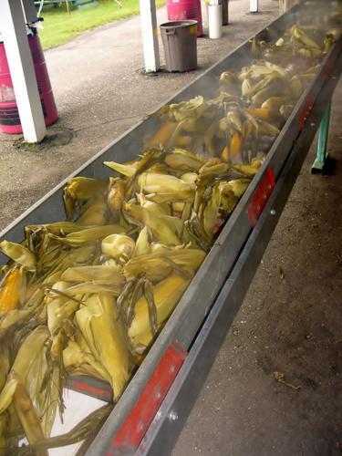 More than 6 tons of corn served