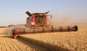 Crop prices threatened in Ukraine