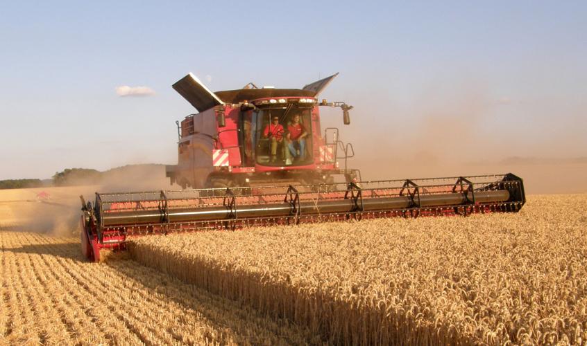 Combine in field