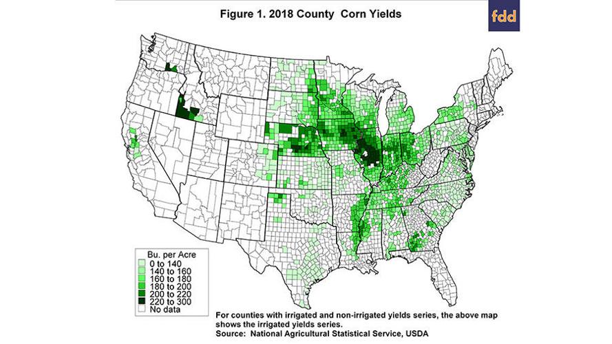 Corn Yield map
