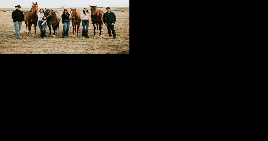 HoosCow Angus stems from determination, elbow grease - Vimarsana News