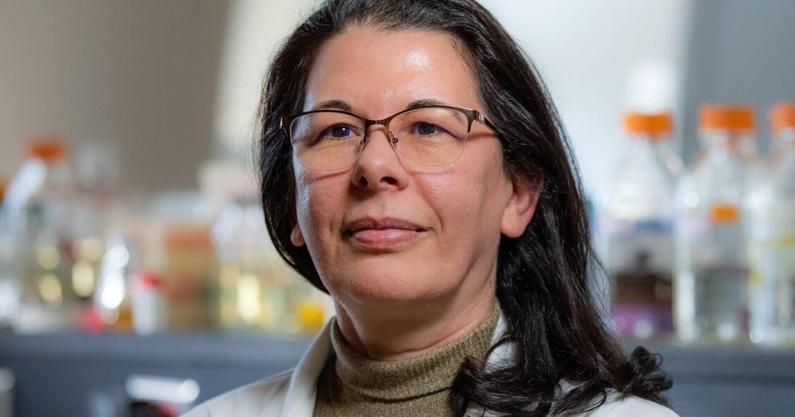 Ronit Mazor Researcher aims to increase food safety