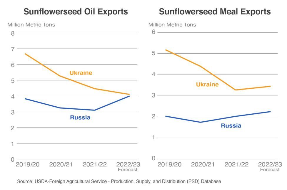 Sunflower seed exports