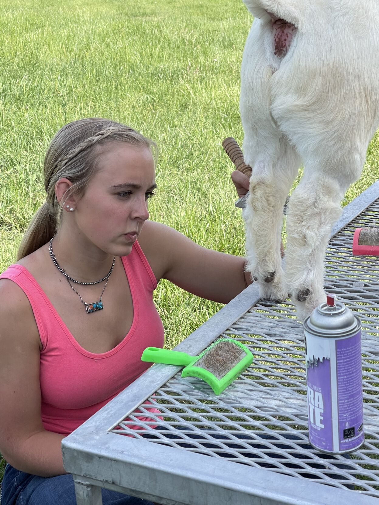 4-H goat 3.jpg