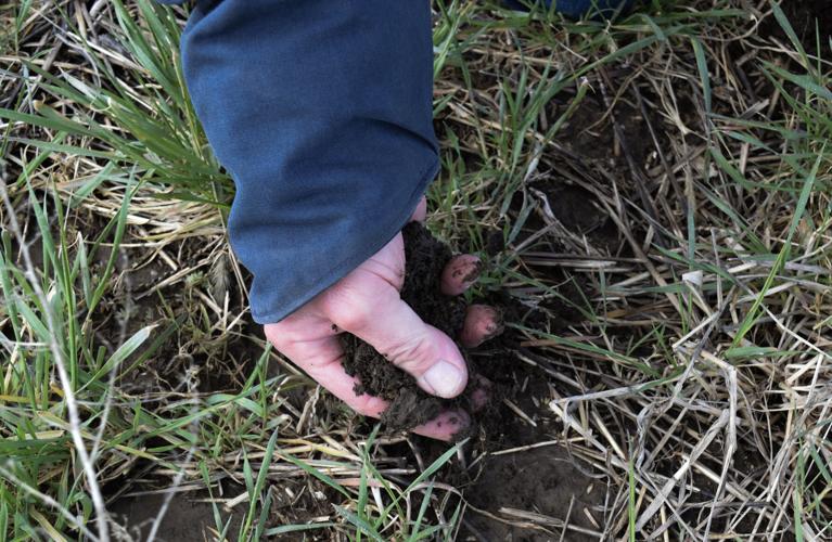 Hand in top soil