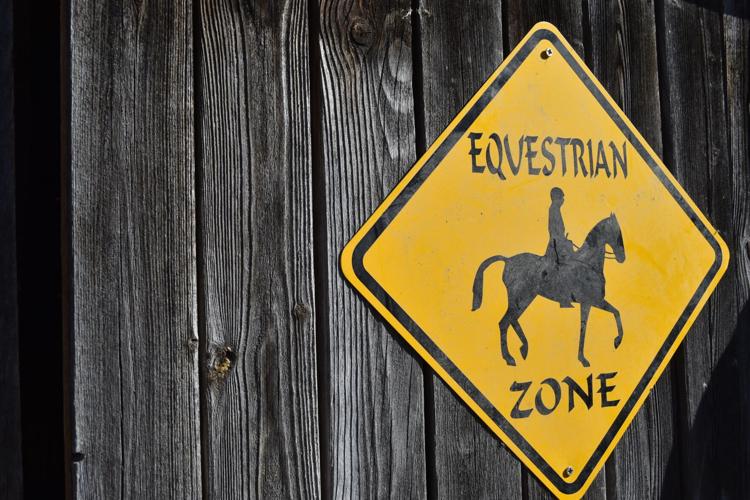 Little Hooves (100).JPG