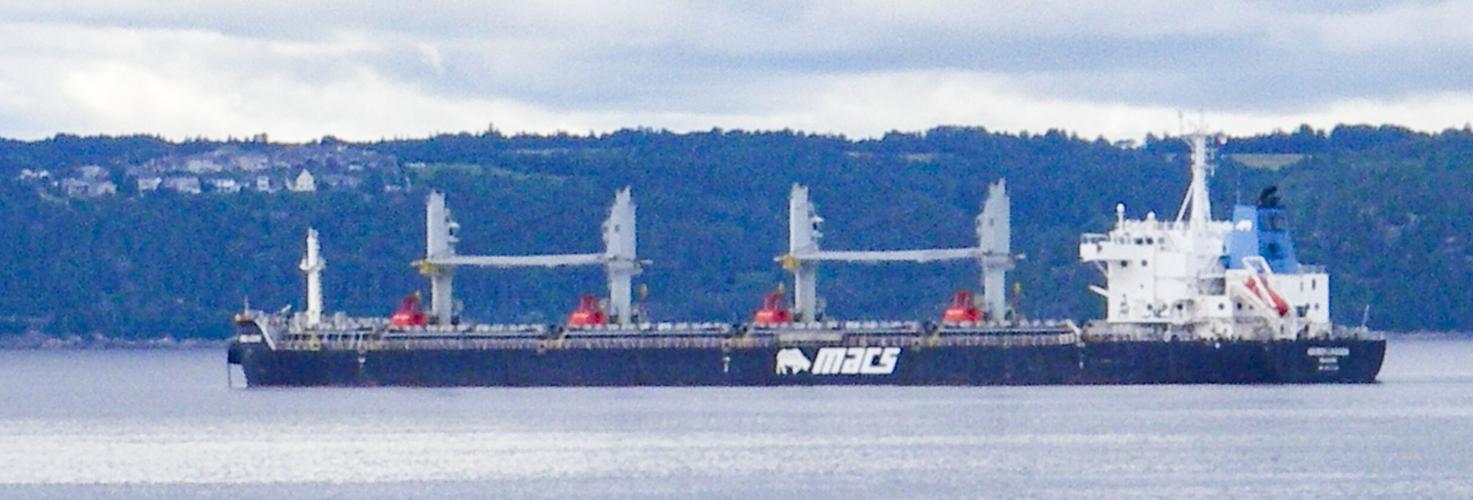 Cargo ship