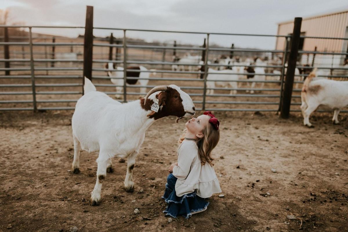 Union: Forget robots; goats take over