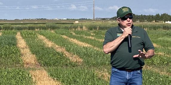 Cover crops