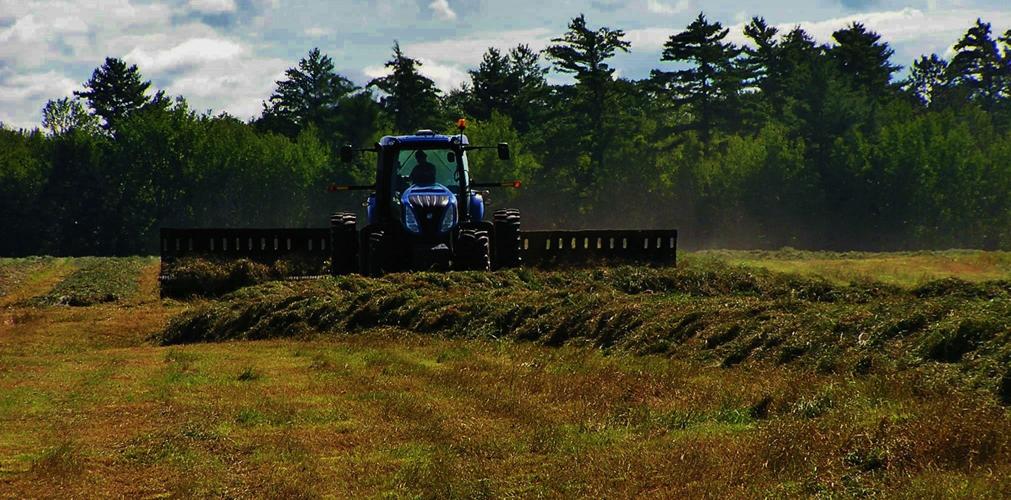 A farmer rakes hay