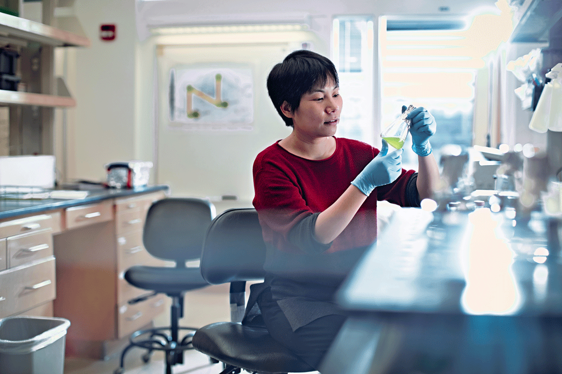 Ru Zhang conducts research at the Donald Danforth Plant Science Center