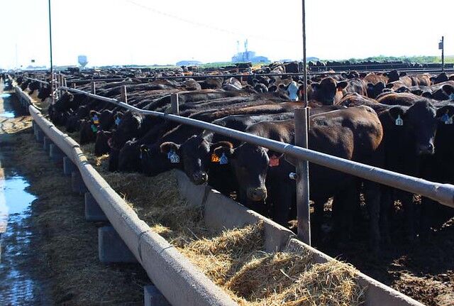 Off-ranch data aids management decisions