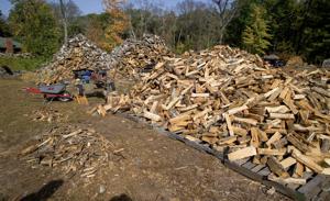Firewood piles