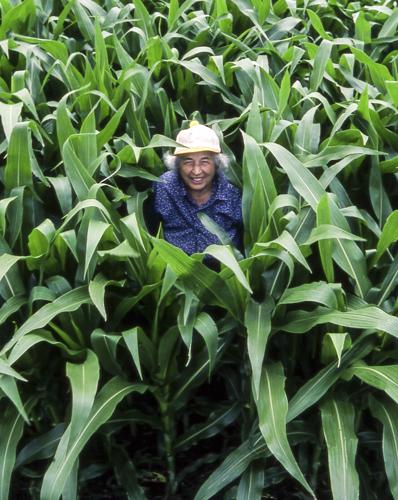 Celestine Persinger in corn field