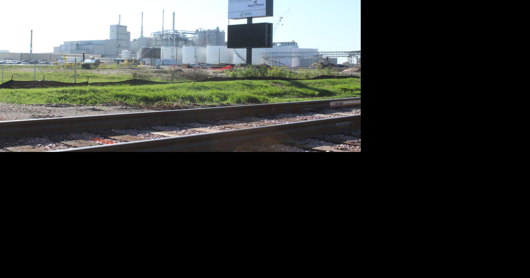 Mitchell soybean plant