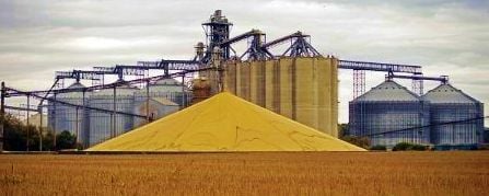 Disaster avoided with grain-stock situation