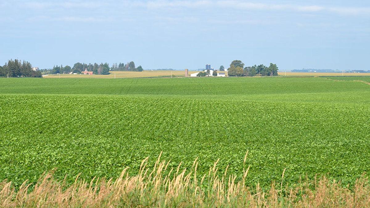 Generic farmland filephoto