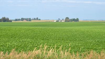 Generic farmland filephoto