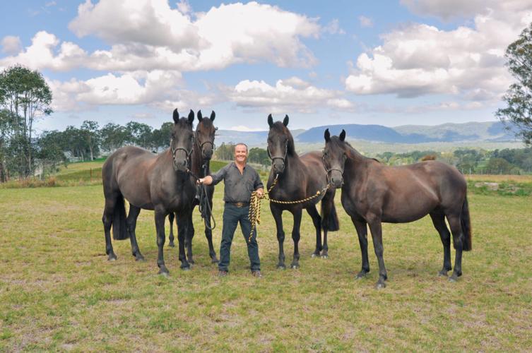 Paul McGreevy and horses