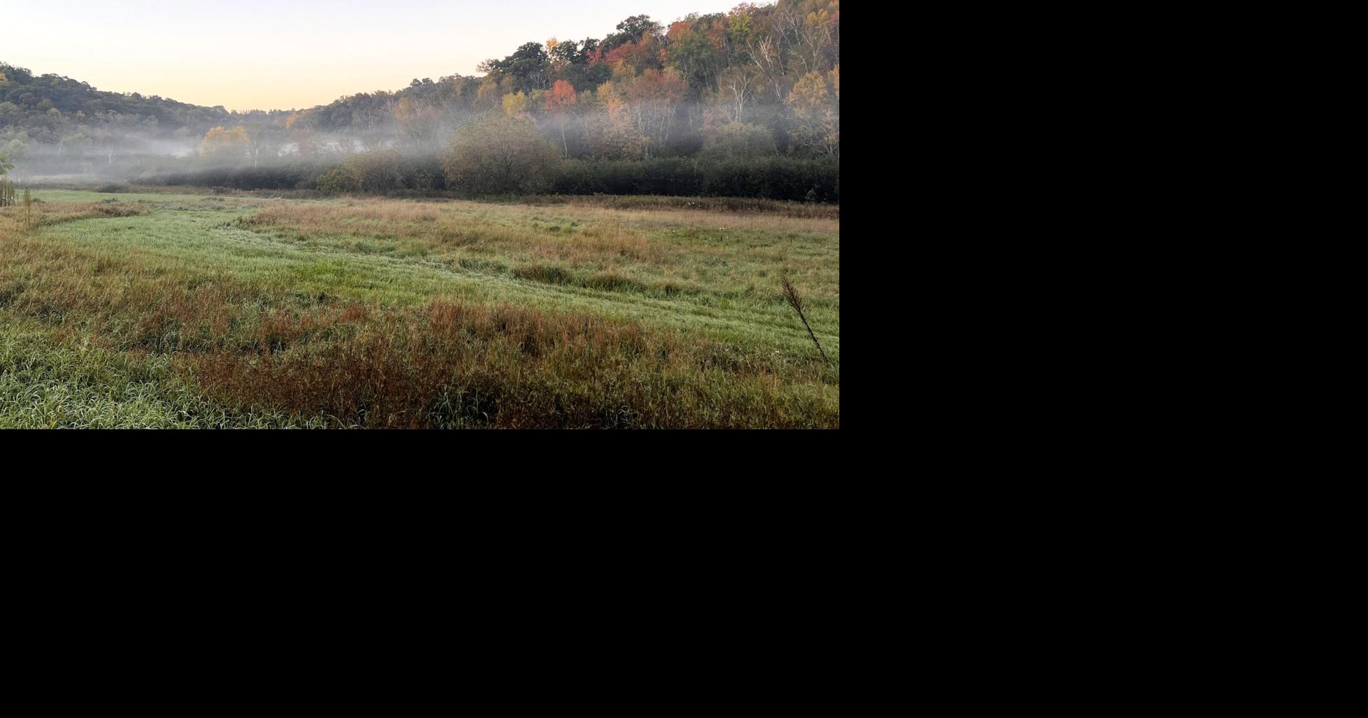 Little Creek valley