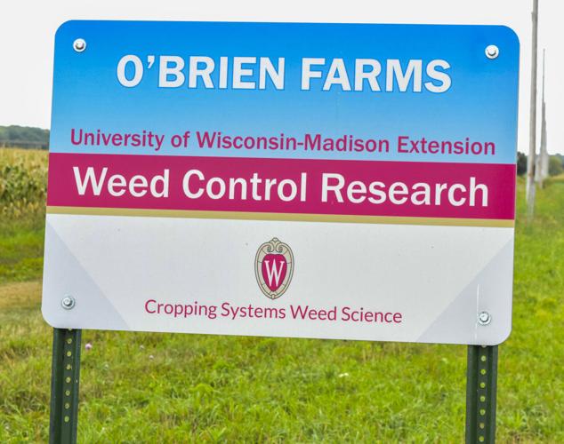 O'Brien Farms - UW Weed Control Research Sign