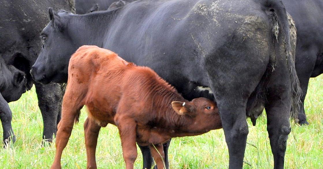 Australia farmers call for review