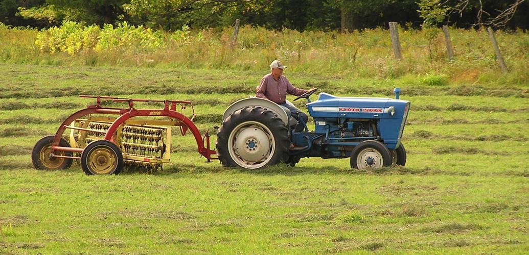 Hay raked