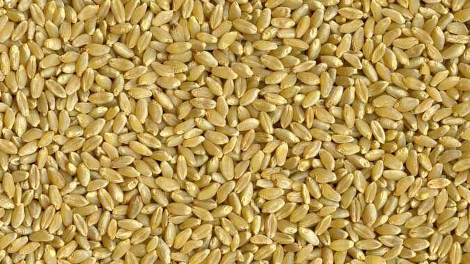 Durum