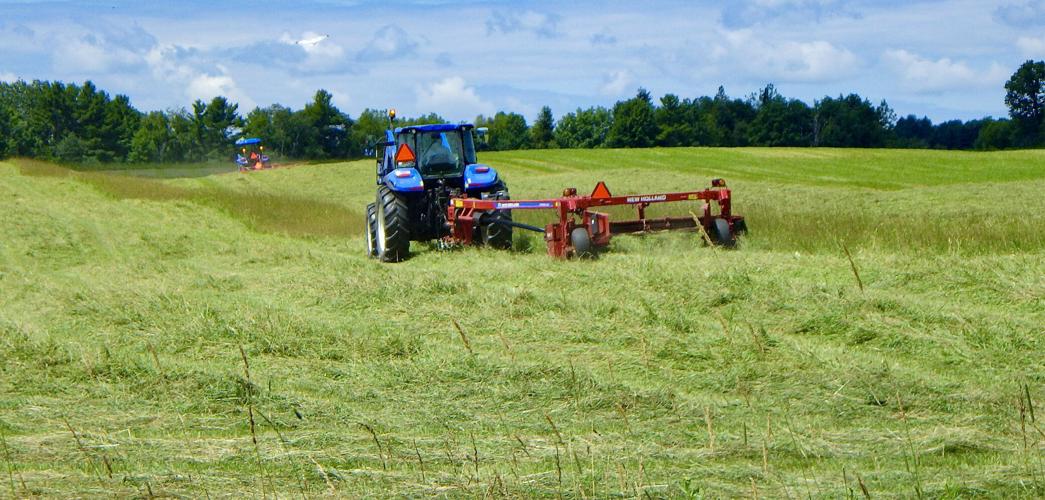 Tractor in field