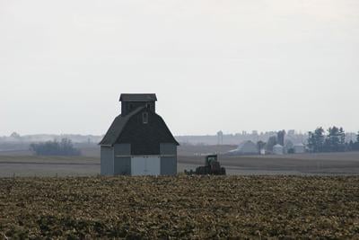 Farm Scene