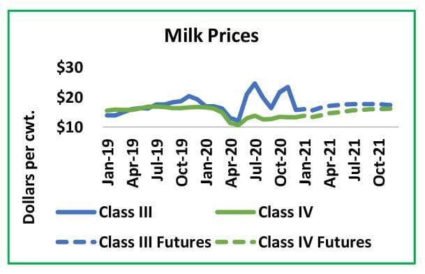 Cold weather affects milk production | Crops | agupdate.com