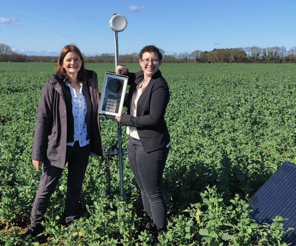 Sam Cook, left, and Emily Bick