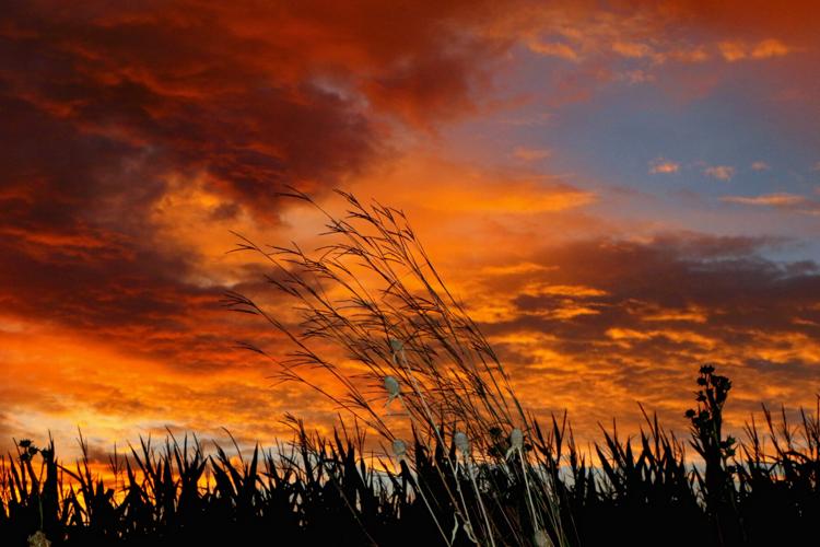 Red sky