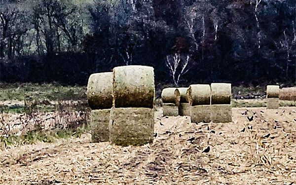 Hay bales