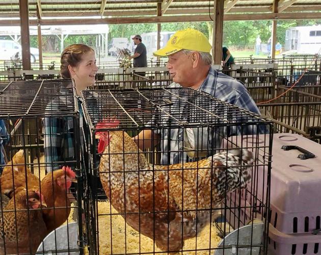 show birds with Sidney