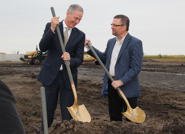 Daugaard and Sullivan