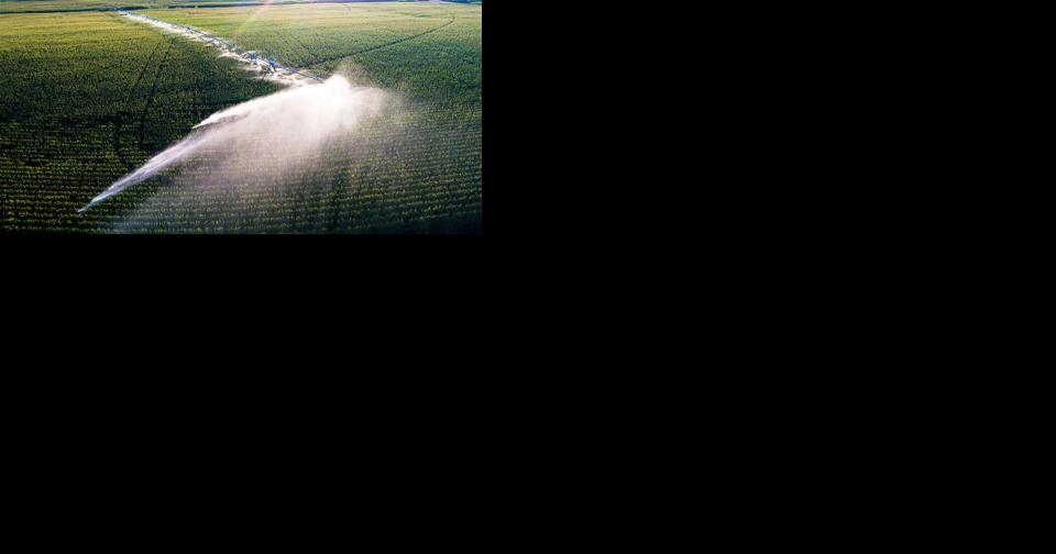 Study: Aquifer depletion threatens crop yields - Vimarsana News