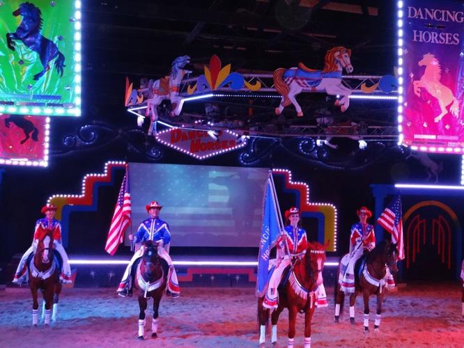 Hello to all you horse lovers