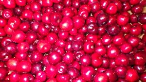 Iowa State’s Joan Bice Underwead Tearoom Cherry Pie recipe