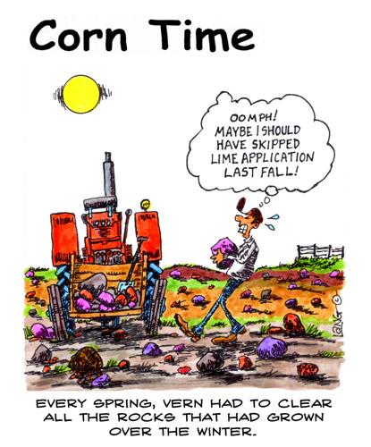 Corn Time by Bob Lang
