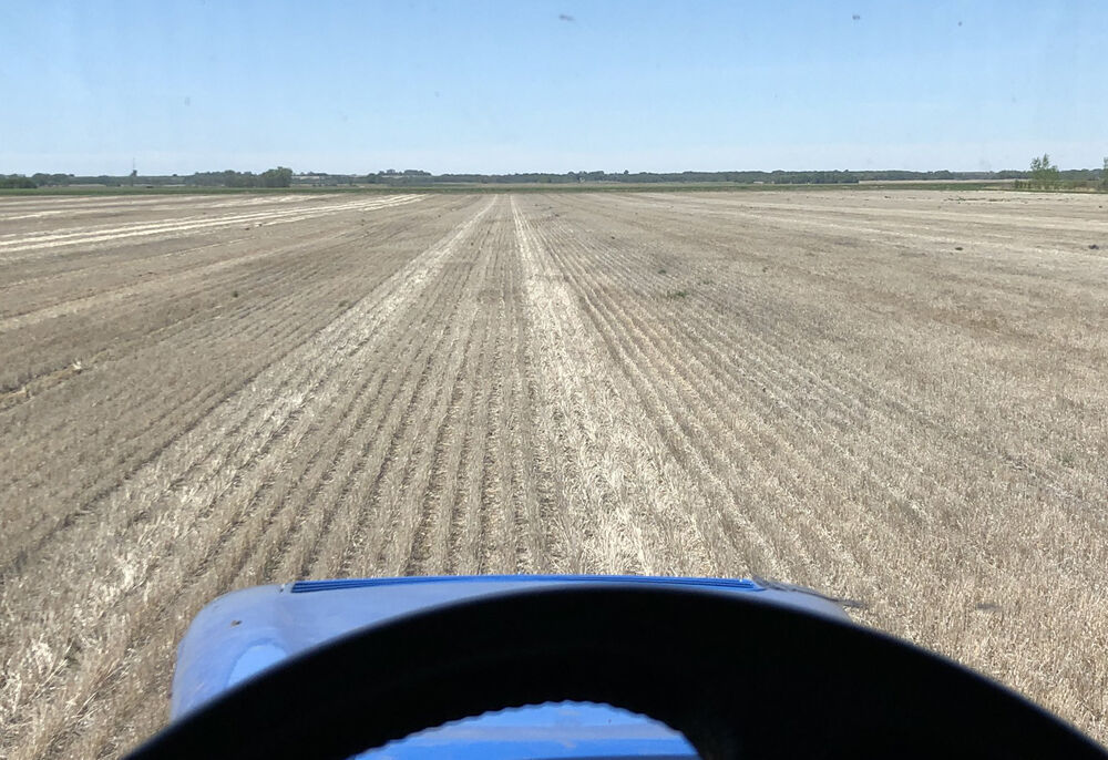 Planting