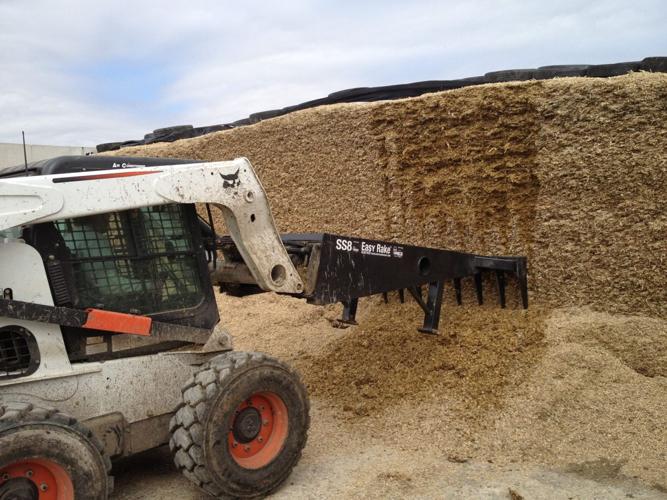 Taking feed off bunker face