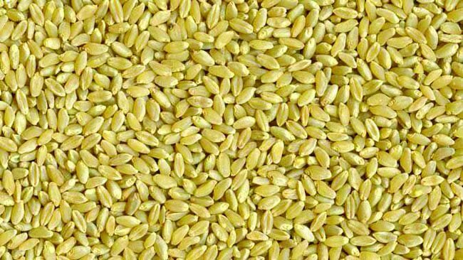 Durum