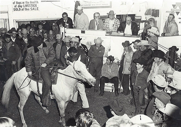 Pender Livestock and Sales Company